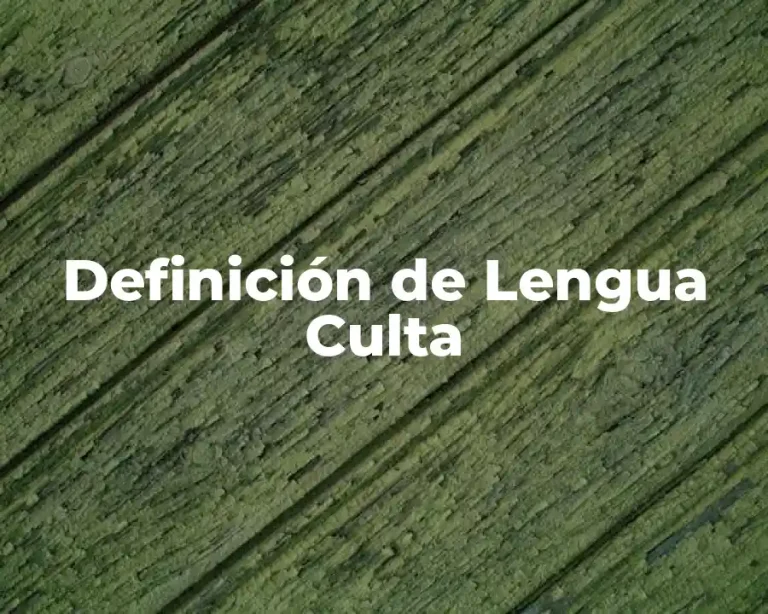Definición de Lengua Culta