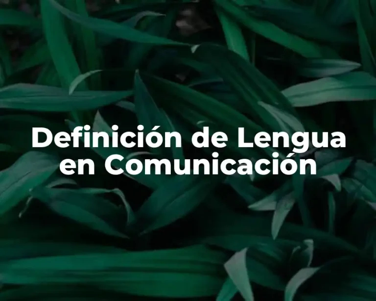 Definición de Lengua en Comunicación