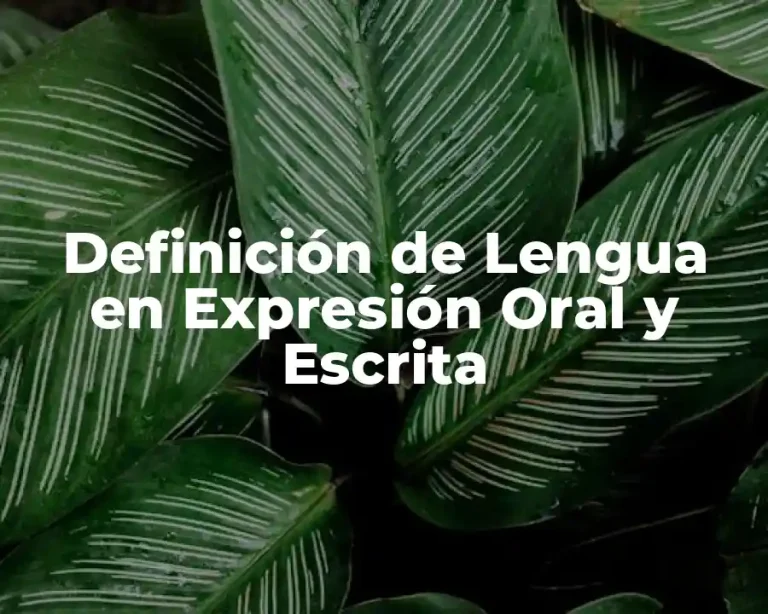 Definición de Lengua en Expresión Oral y Escrita