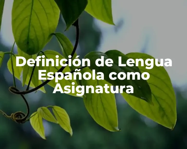 Definición de Lengua Española como Asignatura