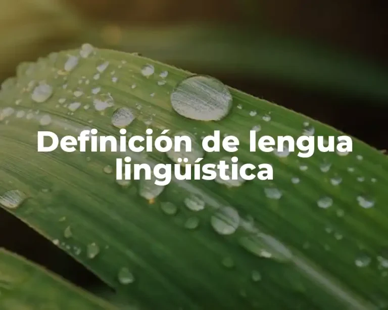 Definición de lengua lingüística
