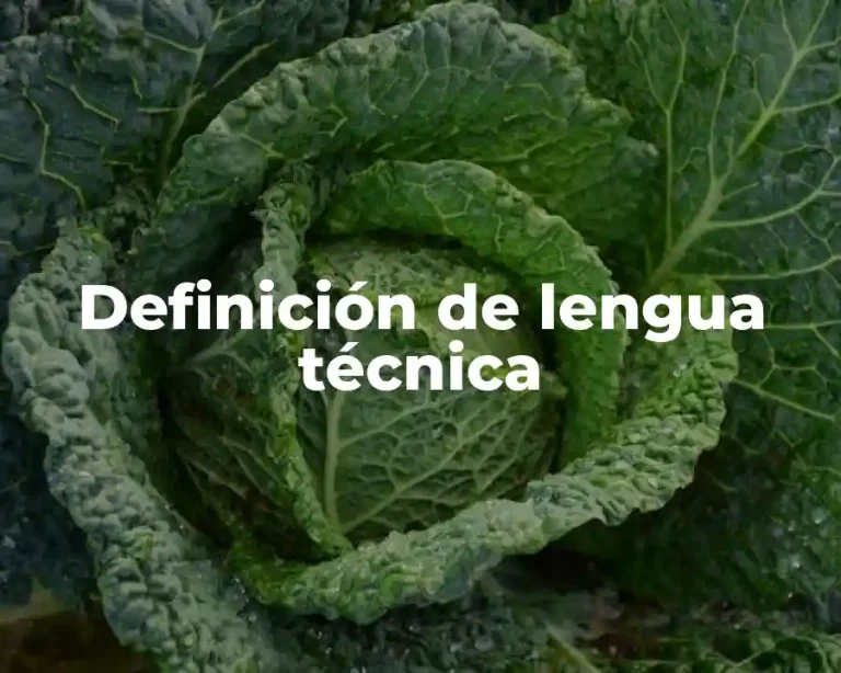 Definición de lengua técnica
