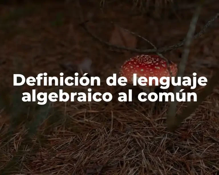 Definición de lenguaje algebraico al común