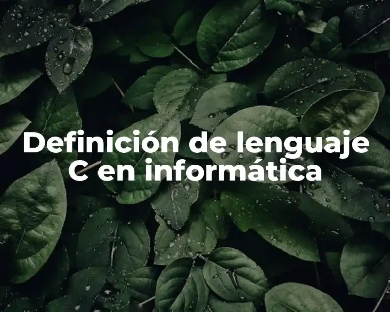 Definición de lenguaje C en informática