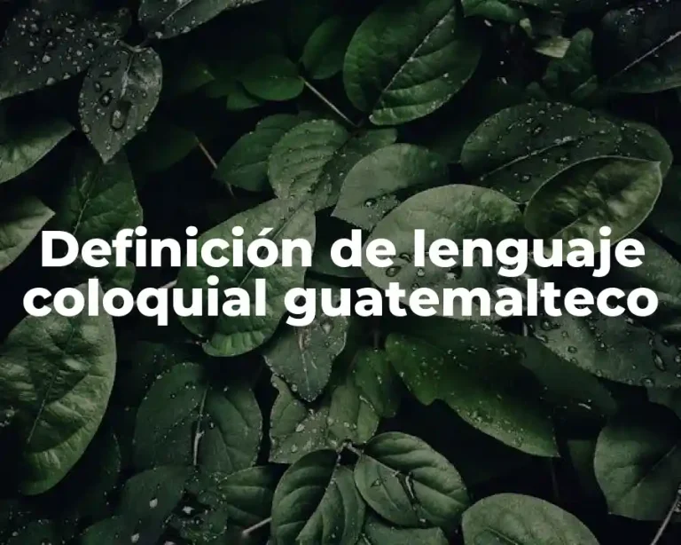 Definición de lenguaje coloquial guatemalteco