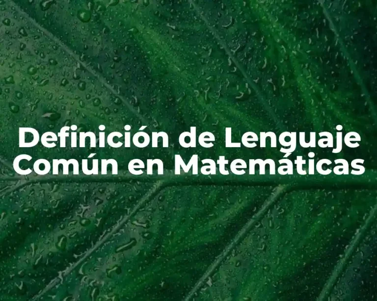 Definición de Lenguaje Común en Matemáticas