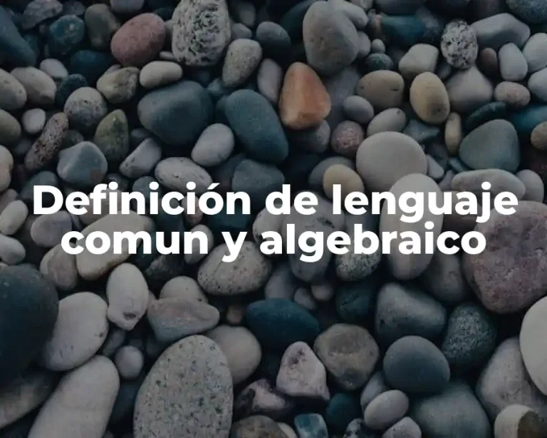 Definición de lenguaje comun y algebraico