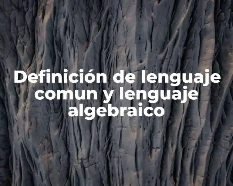 Definición de lenguaje comun y lenguaje algebraico