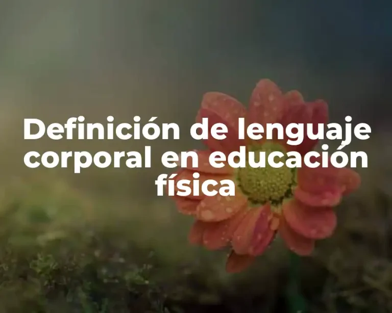 Definición de lenguaje corporal en educación física