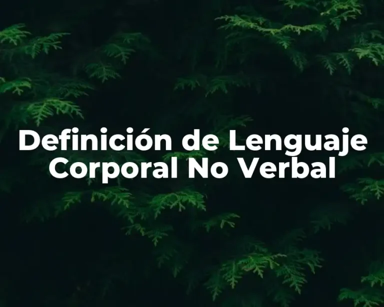 Definición de Lenguaje Corporal No Verbal