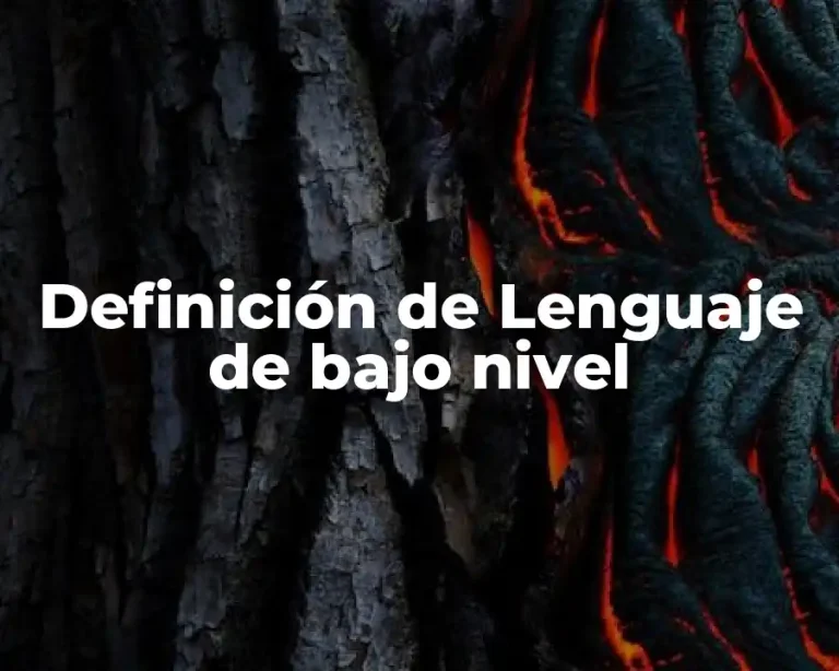 Definición de Lenguaje de bajo nivel