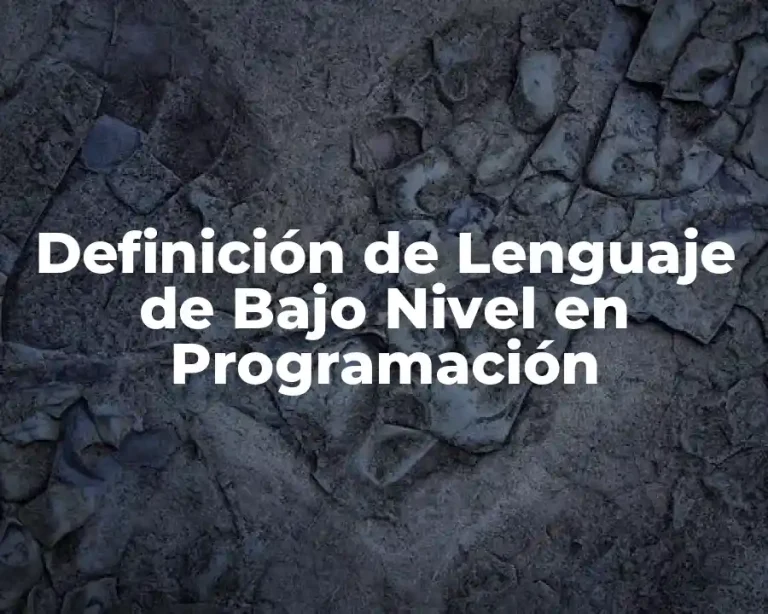 Definición de Lenguaje de Bajo Nivel en Programación