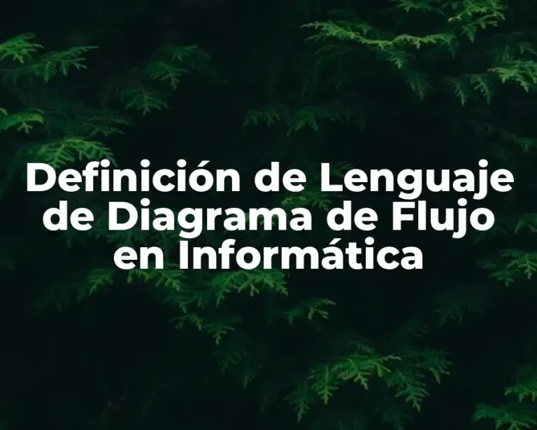 Definición de Lenguaje de Diagrama de Flujo en Informática