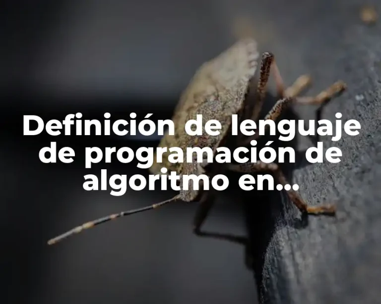 Definición de lenguaje de programación de algoritmo en informática