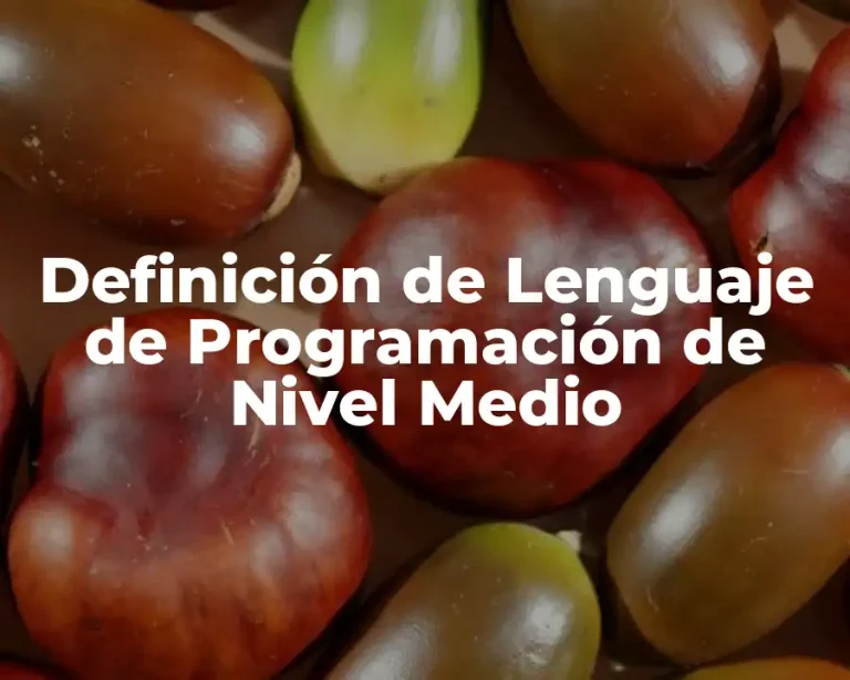 Definición de Lenguaje de Programación de Nivel Medio