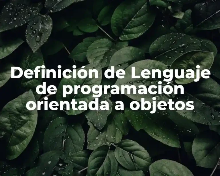 Definición de Lenguaje de programación orientada a objetos