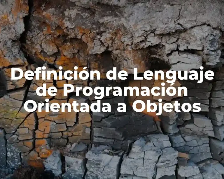 Definición de Lenguaje de Programación Orientada a Objetos