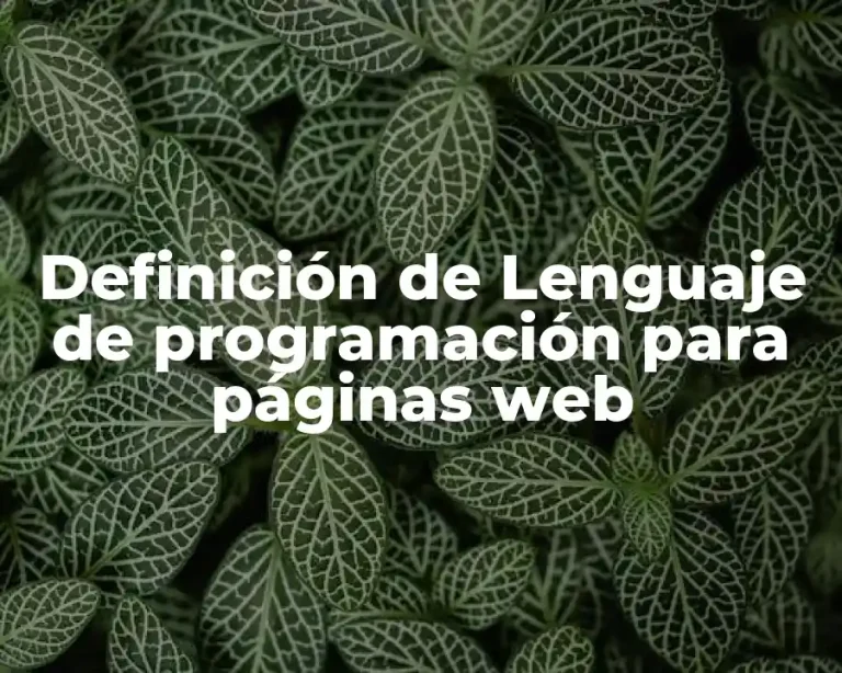 Definición de Lenguaje de programación para páginas web