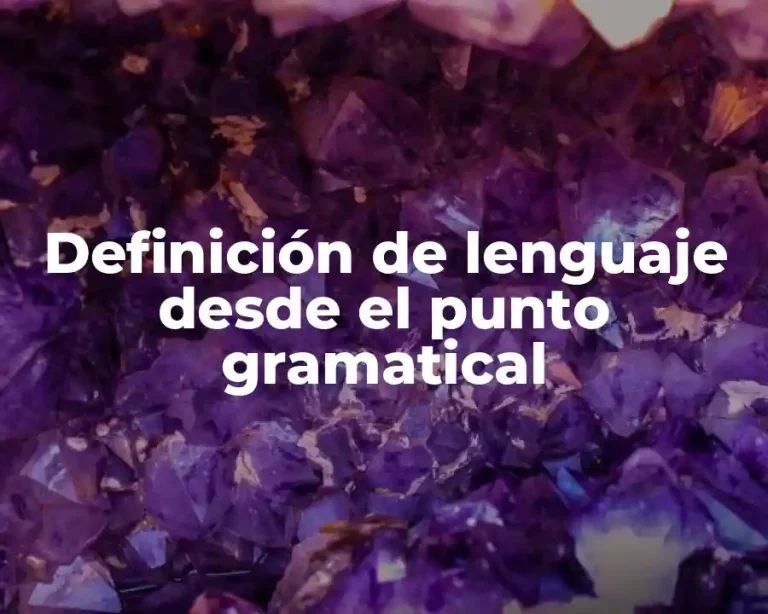 Definición de lenguaje desde el punto gramatical