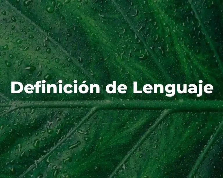 Definición de Lenguaje