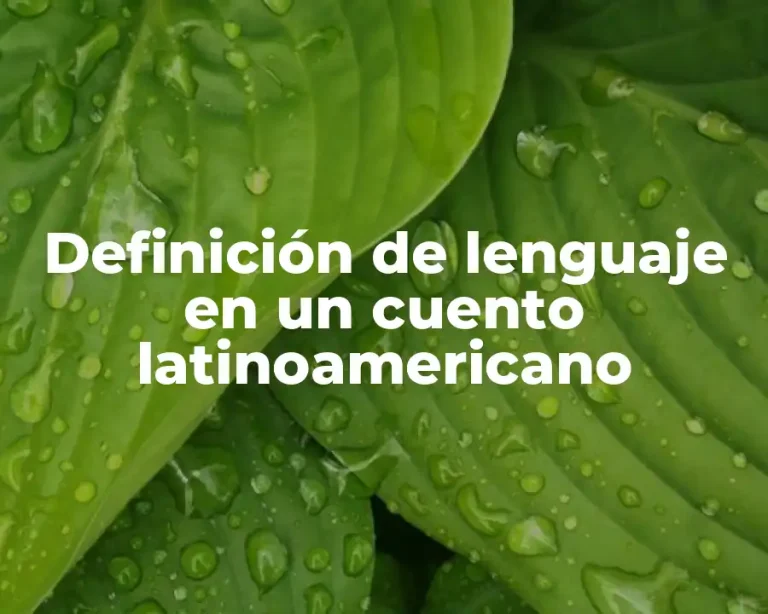 Definición de lenguaje en un cuento latinoamericano