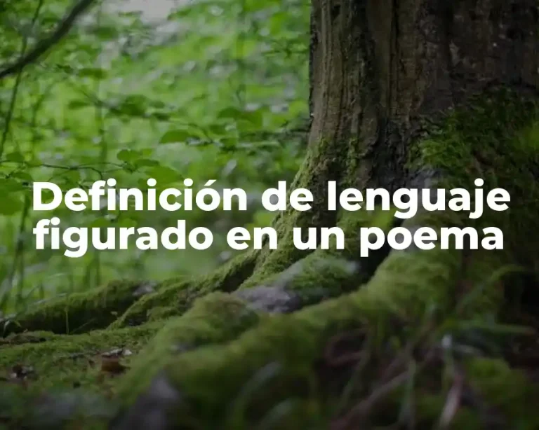 Definición de lenguaje figurado en un poema