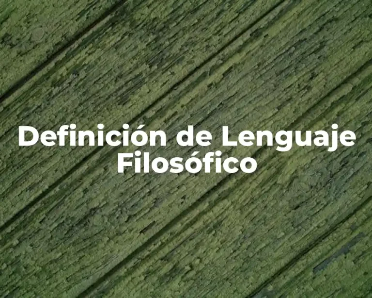 Definición de Lenguaje Filosófico