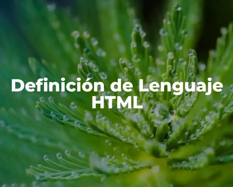 Definición de Lenguaje HTML