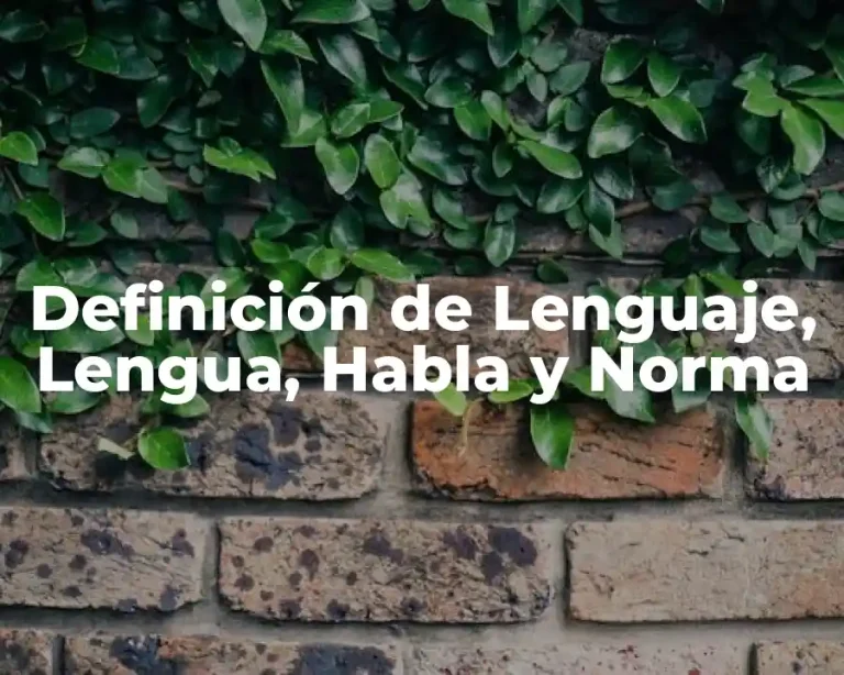 Definición de Lenguaje, Lengua, Habla y Norma