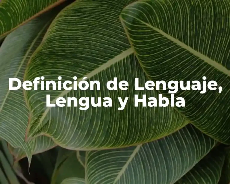 Definición de Lenguaje, Lengua y Habla