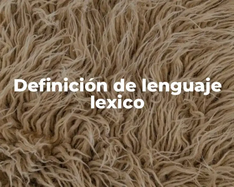 Definición de lenguaje lexico