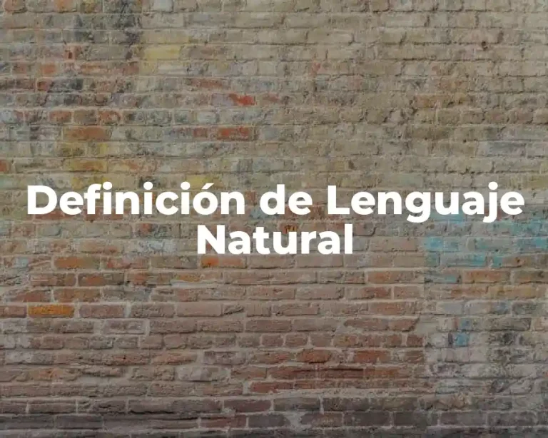 Definición de Lenguaje Natural