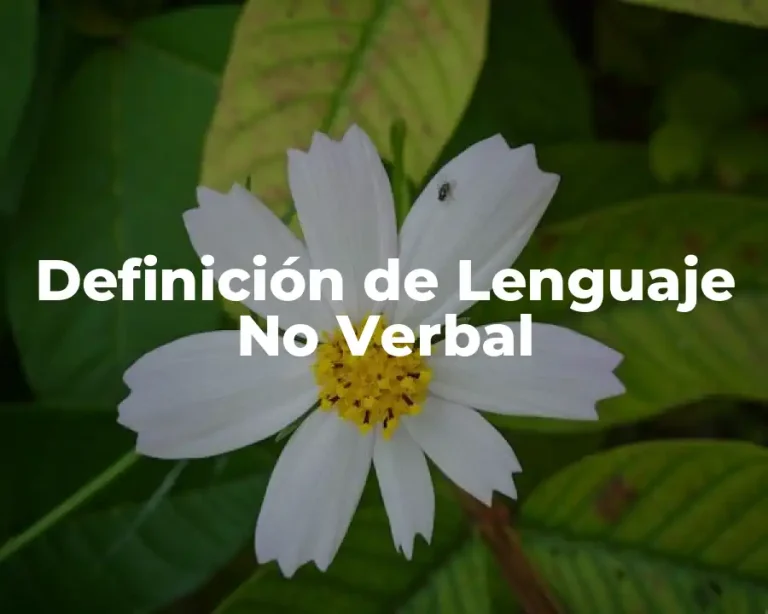 Definición de Lenguaje No Verbal