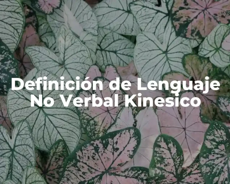Definición de Lenguaje No Verbal Kinesico