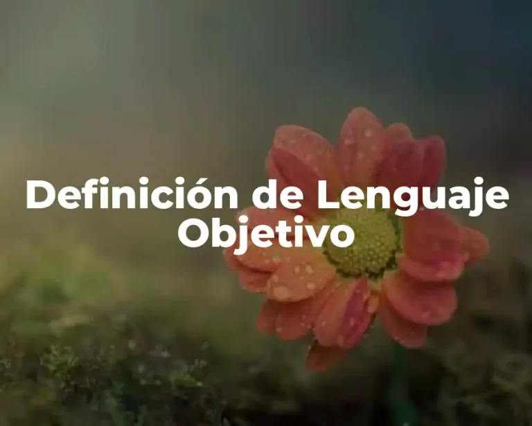 Definición de Lenguaje Objetivo