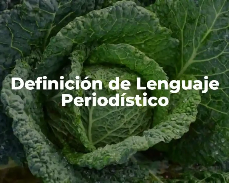 Definición de Lenguaje Periodístico