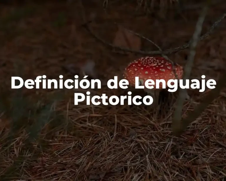 Definición de Lenguaje Pictorico
