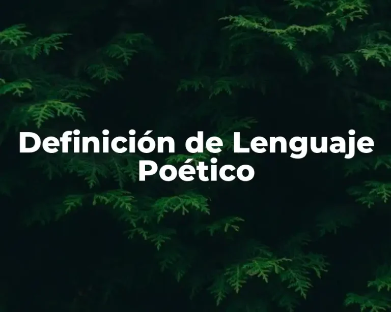 Definición de Lenguaje Poético