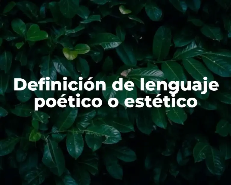 Definición de lenguaje poético o estético