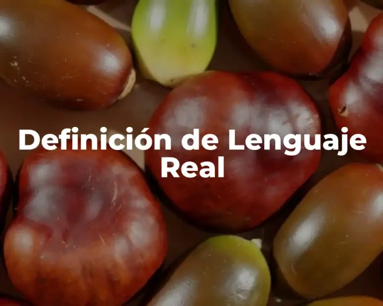 Definición de Lenguaje Real