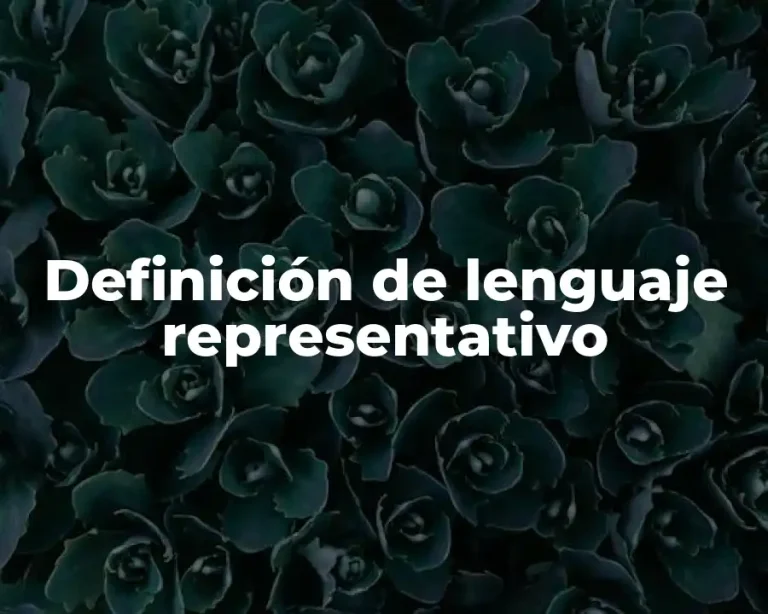 Definición de lenguaje representativo