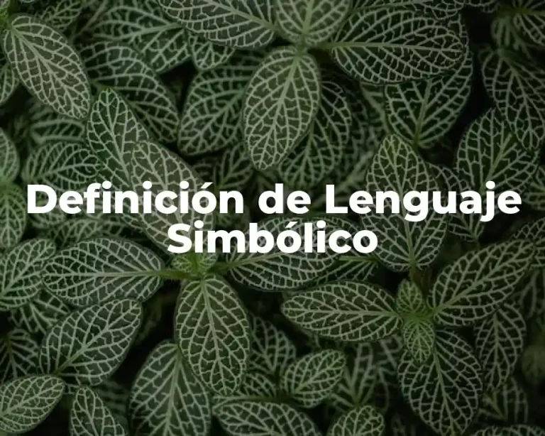 Definición de Lenguaje Simbólico