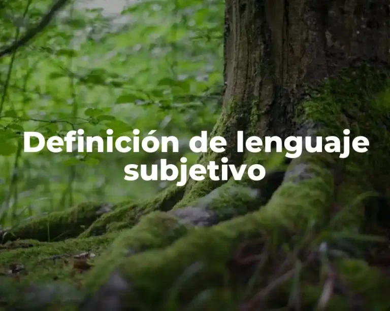 Definición de lenguaje subjetivo