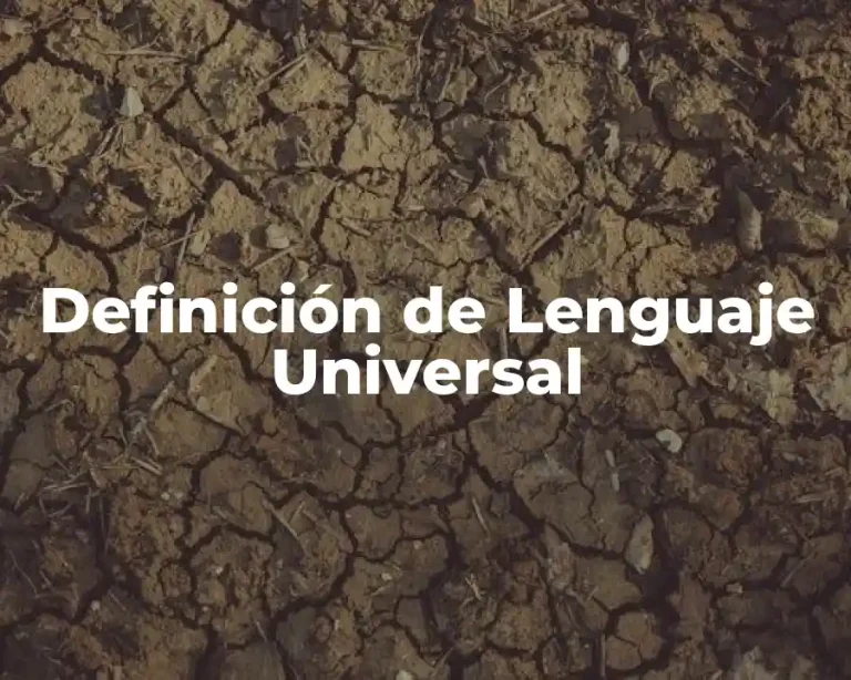 Definición de Lenguaje Universal