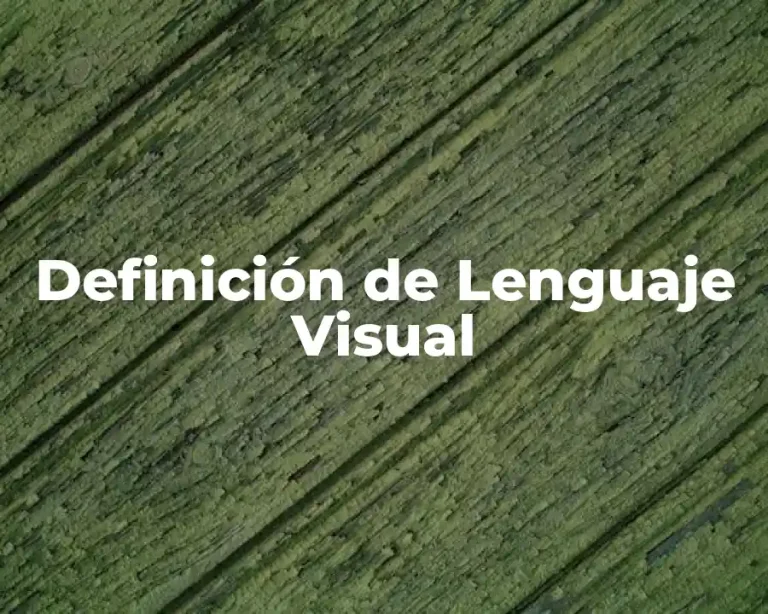 Definición de Lenguaje Visual