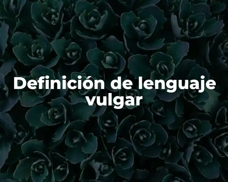 Definición de lenguaje vulgar