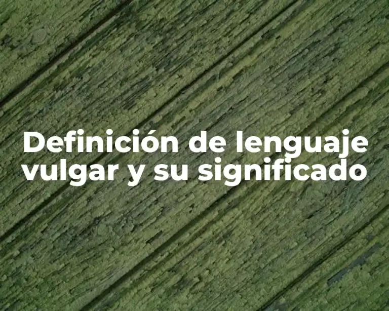 Definición de lenguaje vulgar y su significado