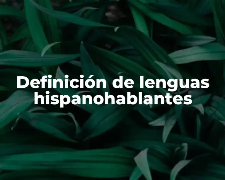 Definición de lenguas hispanohablantes