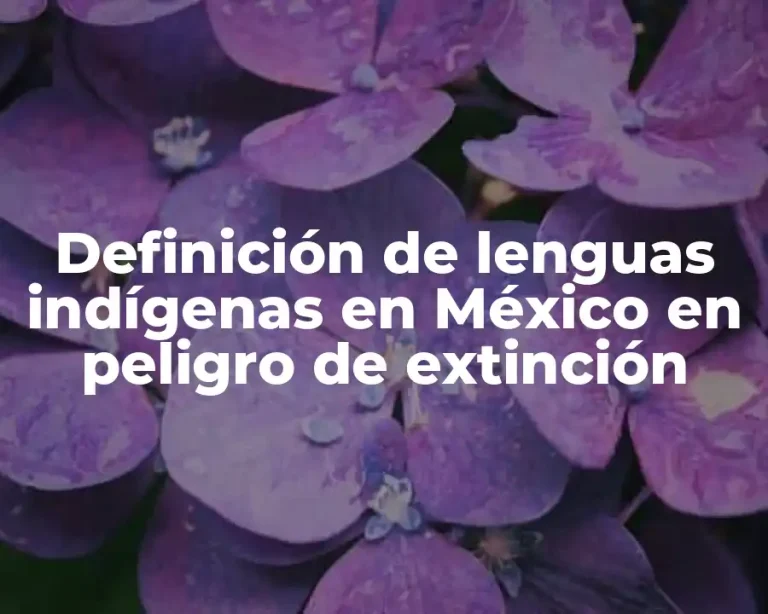 Definición de lenguas indígenas en México en peligro de extinción