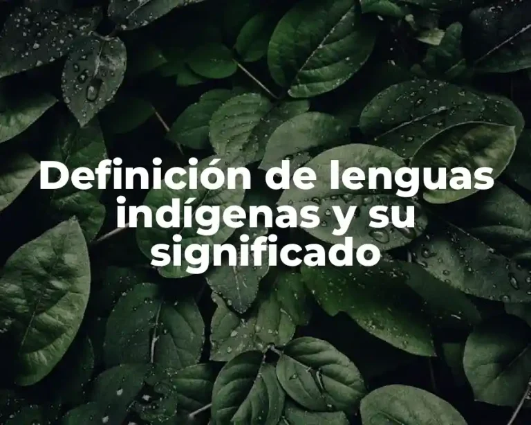 Definición de lenguas indígenas y su significado